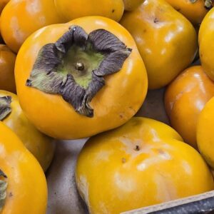Sharon Fruits (Kaki)