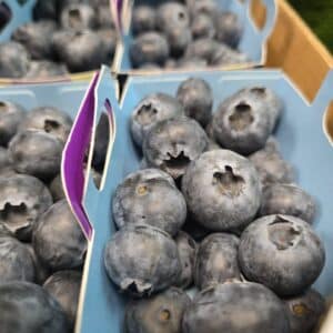 Blueberries
