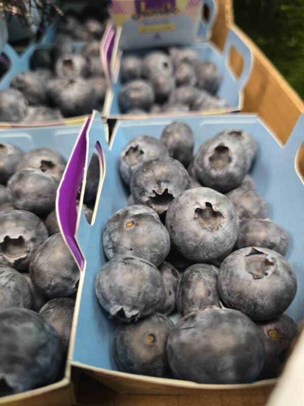 Blueberries