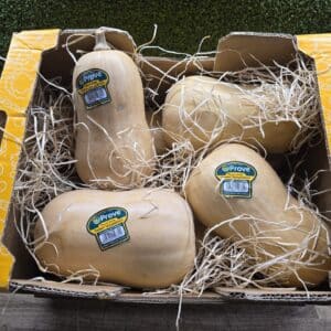Butternut Squash