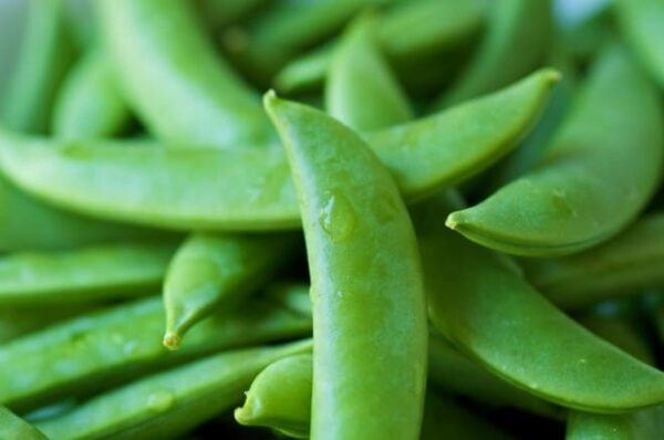 Sugar Snaps