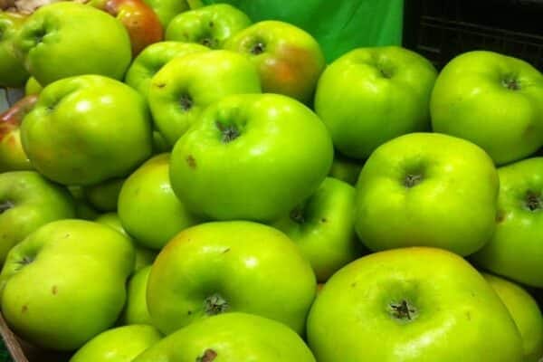 Apples Bramley