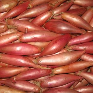 Shallots (Banana)