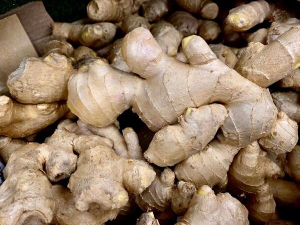 Ginger