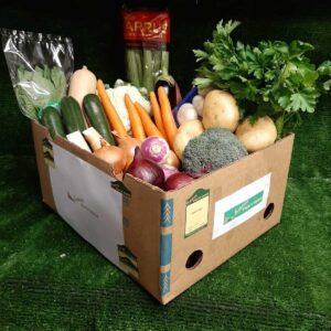 Large Vegetable Box