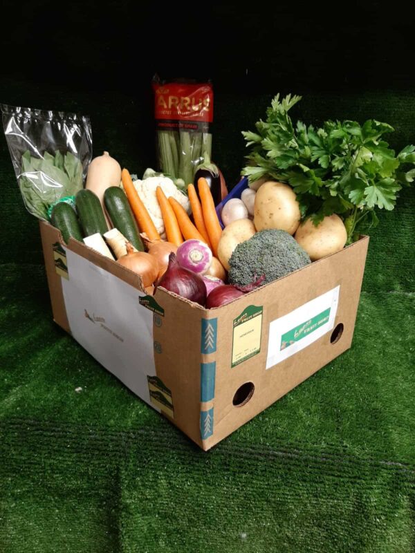 Large Vegetable Box