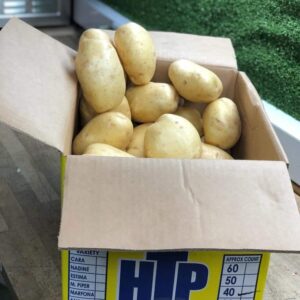Baking Potatoes