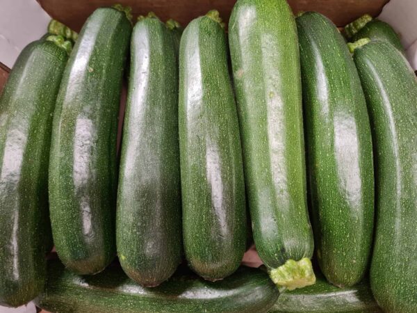 Courgettes
