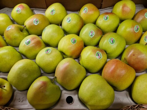 Apples Golden Delicious