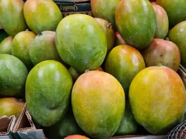 Mangoes