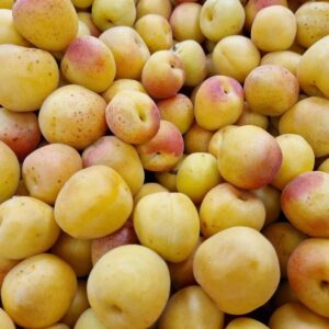 Apricots Small (Turkish)