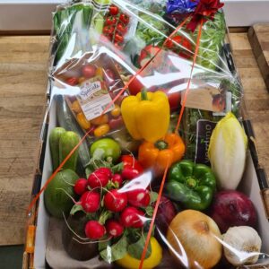 Large Salad Box