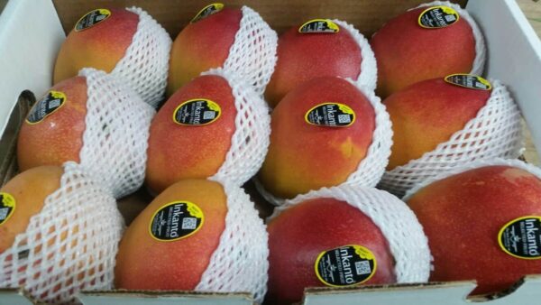 Mangoes (By Air) - Image 2