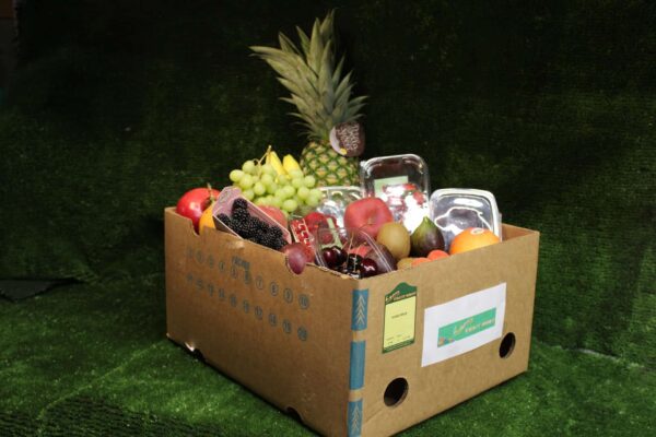 Exotic Fruit Box Large