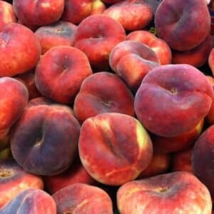 Peaches (Flat)