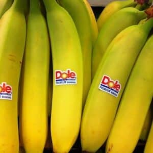 Costa Rican Bananas