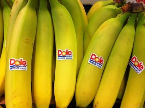 Costa Rican Bananas