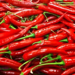 Chillies Red