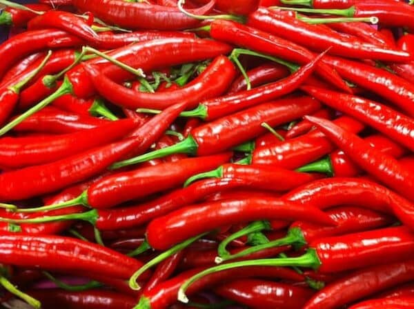 Chillies Red