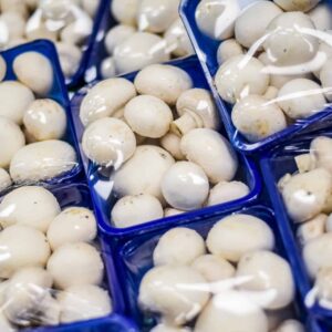 Mushrooms Punnet