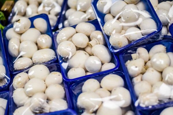 Mushrooms Punnet