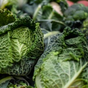 Savoy Cabbage