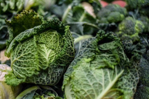 Savoy Cabbage