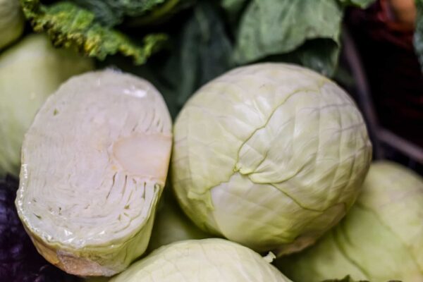 Cabbage White 2.5kg (Approx)