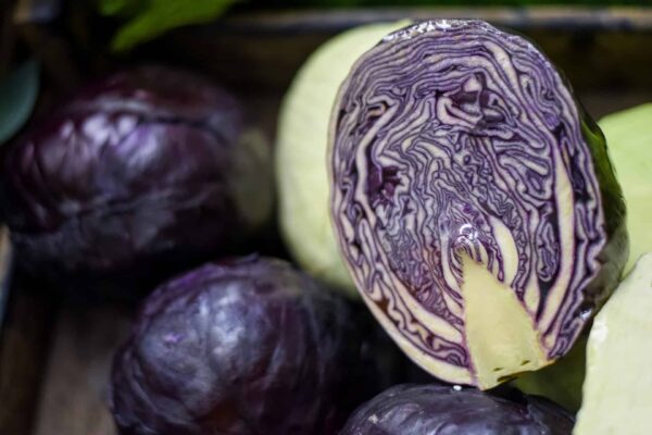 Cabbage Red 2.5kg (Approx)