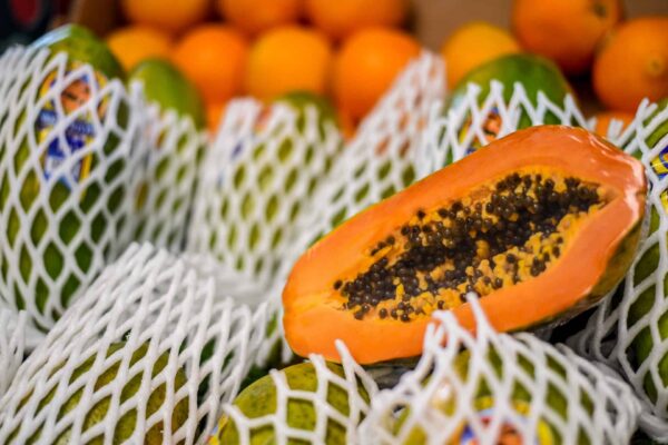 Papaya (Paw-Paw)