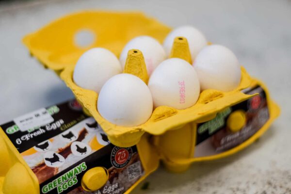 Eggs (Large White)