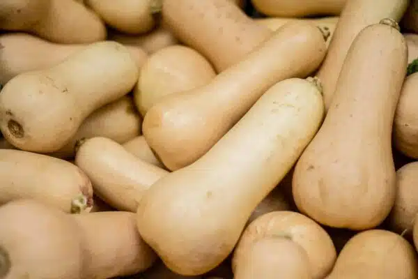 Butternut Squash (Large)