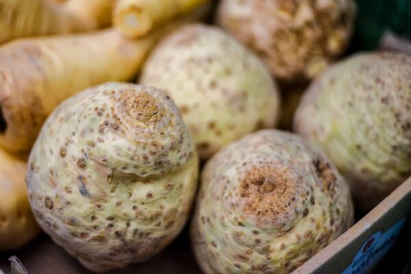 Celeriac (Large)