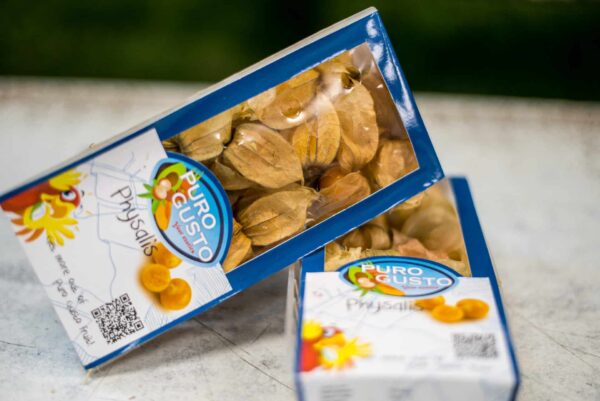 Physalis