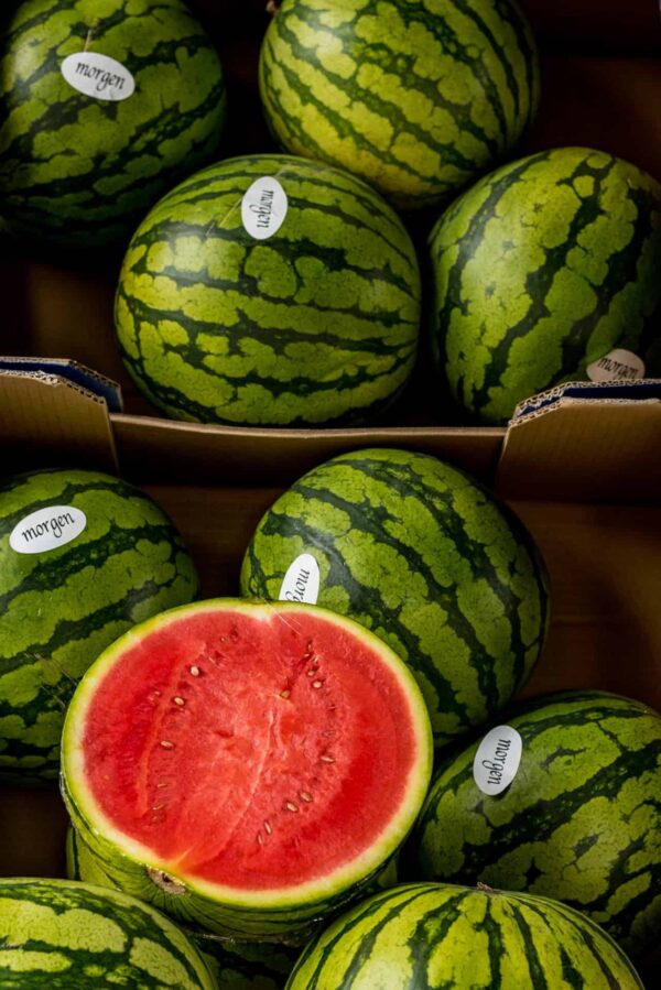 Melon Watermelon (Seedless) Spanish