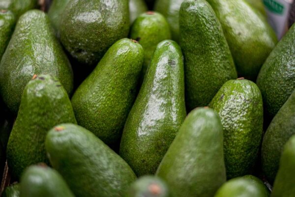 Avocadoes (Large)