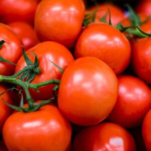 Tomatoes (Vine)