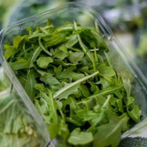 Wild Rocket