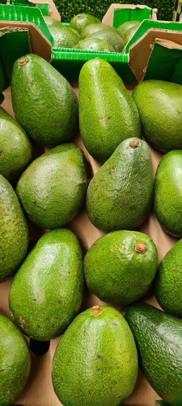 Avocadoes Green