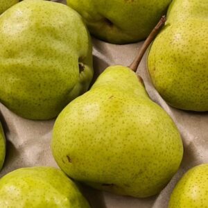 William Pears