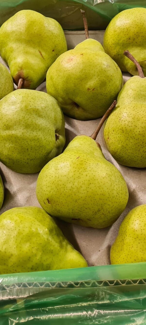 William Pears