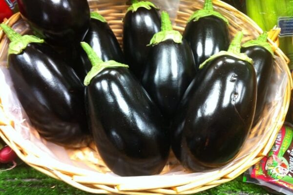 Aubergines