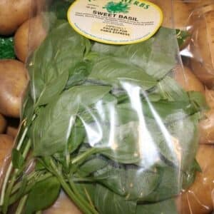 Fresh Basil