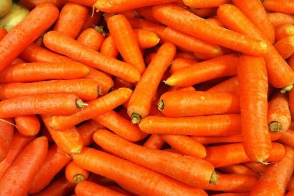 Carrots