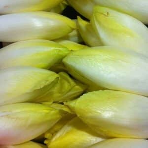 Chicory (Endive)