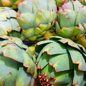 Extra Large Globe Artichokes