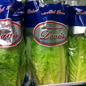 Lettuce Romaine (Large)