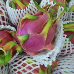 Dragon Fruits