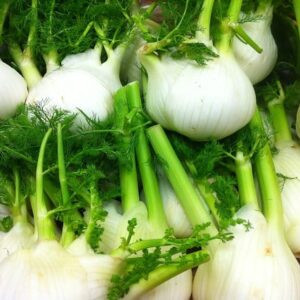 Fennel