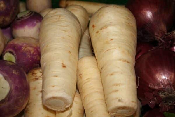 Parsnips